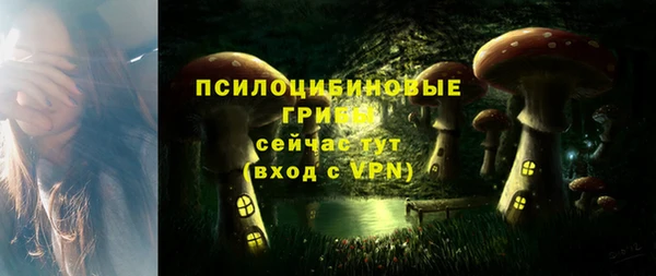 дурь Нея
