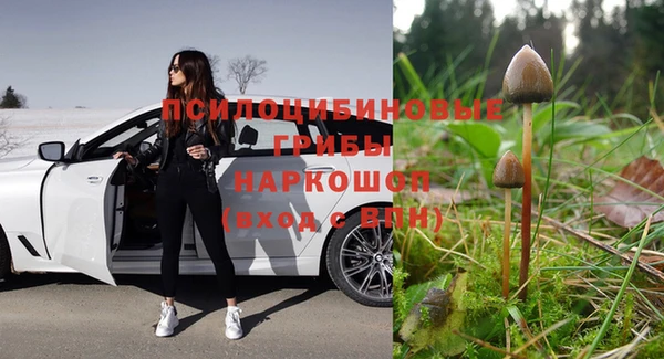 дурь Нея