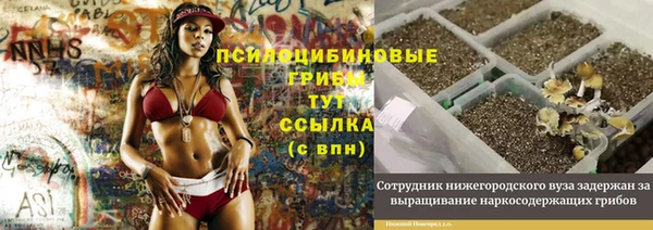 MDMA Горнозаводск