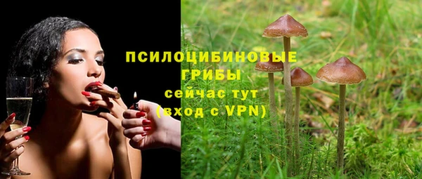 дурь Нея