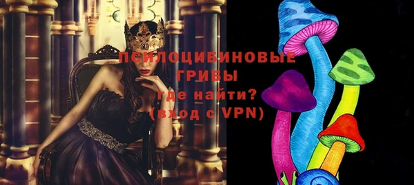 дурь Нея